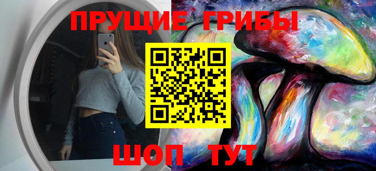 Ачхой-Мартан  даркнет сайт  Вход с VPN  Галлюциногенные грибы Cubensis 