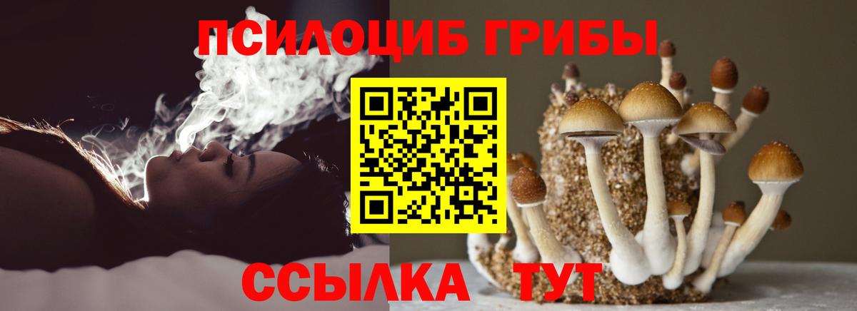 Псилоцибиновые грибы мухоморы Ачхой-Мартан